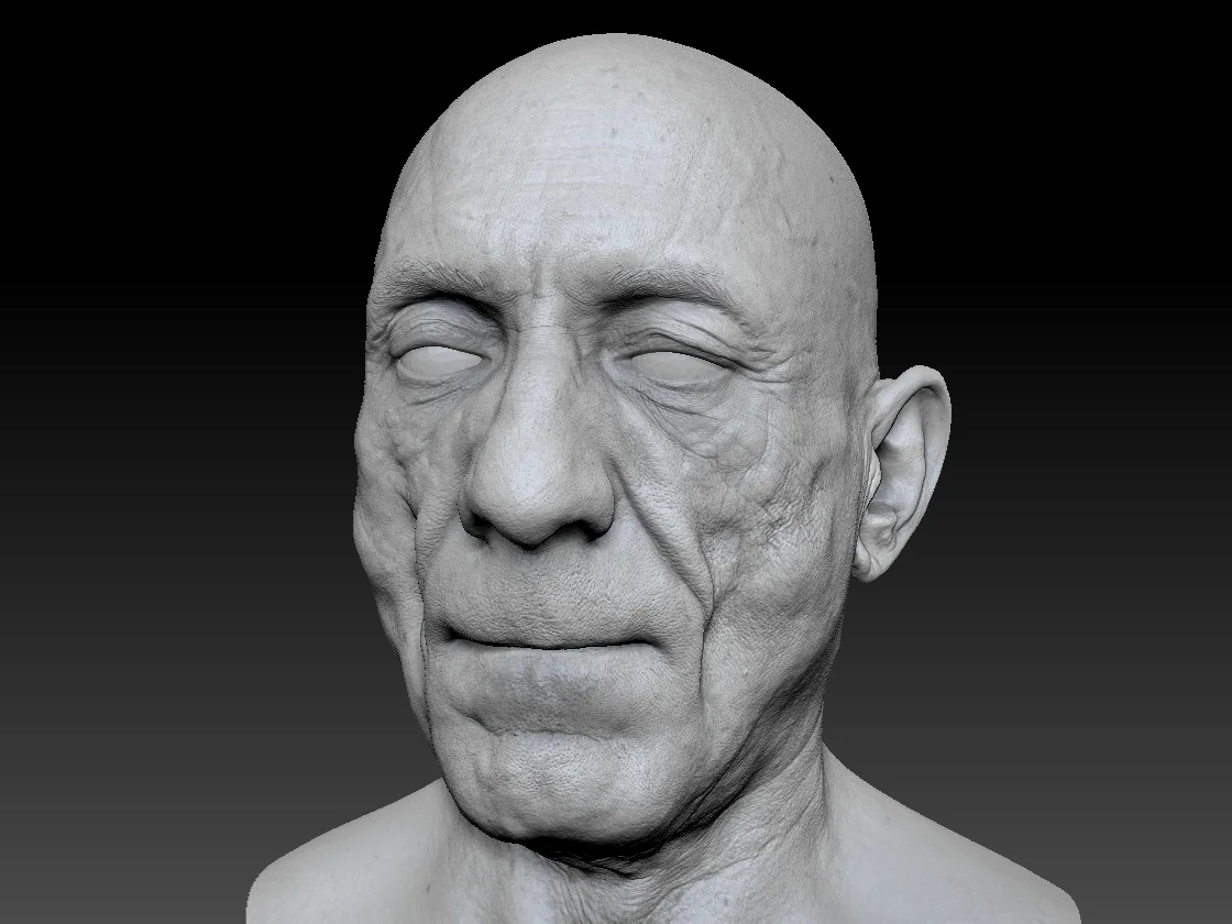 Human heads and FACS scans Render